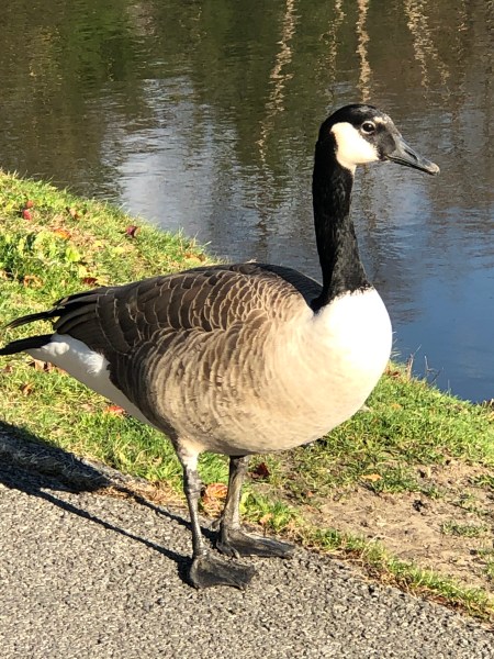 9C92B67F-D78A-4400-A290-45C988418D2D